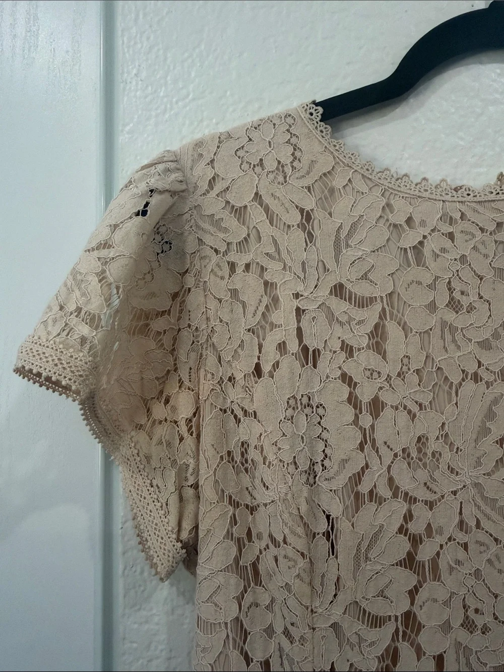 Rachel Parcell Blush Lace Midi Dress with Ruffle Hem - Picture 2 of 3